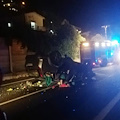 Agropoli, donna in fin di vita dopo incidente sulla "Cilentana": la rabbia del Sindaco 