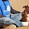 Campania: aperte le iscrizioni al corso gratuito per guardie zoofile OIPA