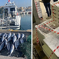 Controlli sulla filiera ittica, sequestri e sanzioni per pesca abusiva nell'area marina protetta di Punta Licosa