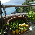 "Il Blu della Dieta Mediterranea", le costiere Amalfitana e Cilentana insieme per un itinerario internazionale