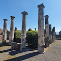 Il nuovo Vivaio di Pompei, 14 marzo anteprima per i visitatori in occasione della Giornata nazionale del Paesaggio