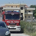 Incendio in area agricola di Eboli: intervengono Vigili del Fuoco e Carabinieri