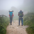 Perdono l'orientamento a causa della fitta nebbia, due uomini recuperati nel bosco di Giffoni Valle Piana