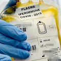 Plasma iperimmune, Cotugno cerca donatori guariti da 14 giorni dal Covid-19