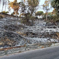 Salerno, fumo e cenere nelle zone devastate dagli incendi: ipotesi dolosa 