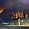 Sarno assediata dalle fiamme: incendi in via Bracigliano e Torregatto [FOTO-VIDEO]