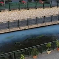 Si colora di blu il Rio Palazzo, una delle sorgenti del Fiume Sarno: è polemica 