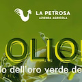 “Ti Olio!” Il mondo dell’oro verde della terra /Programma