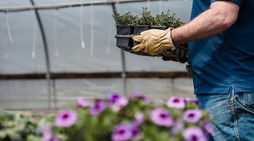 Rinnovato il contratto provinciale di lavoro per operai agricoli e florovivaisti di Salerno