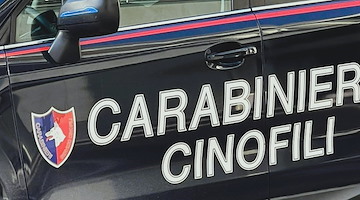 Salerno: Carabinieri in azione nelle scuole per prevenire il consumo di stupefacenti, sequestrati piccoli quantitativi di hashish