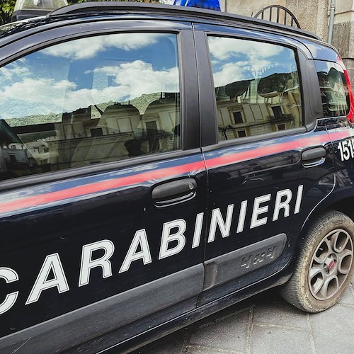 Carabinieri<br />&copy; Massimiliano D'Uva