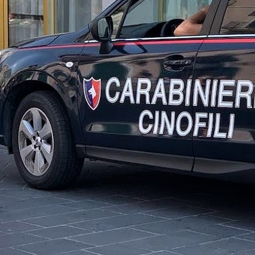 Carabinieri<br />&copy; Massimiliano D'Uva