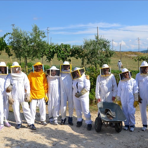 Irpinia Farm Festival