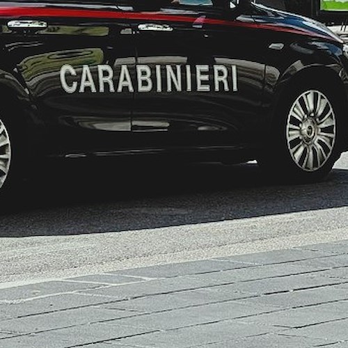 Carabinieri<br />&copy; Massimiliano D'Uva