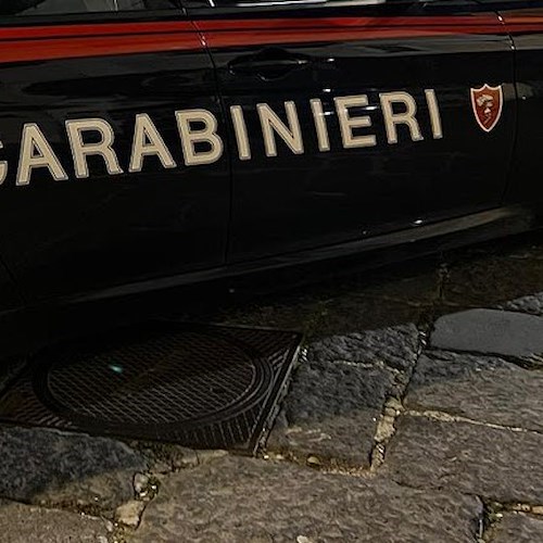 Carabinieri<br />&copy; Massimiliano D'Uva