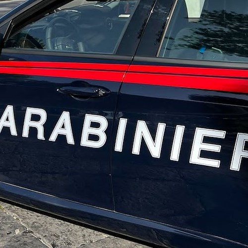 Carabinieri<br />&copy; Massimiliano D'Uva