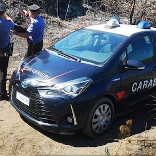 Sequestro preventivo nel Parco Nazionale del Cilento<br />&copy; Carabinieri