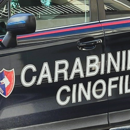 Si allontana con fare sospetto da scuola, 14enne di Salerno trovato in possesso di dosi di hashish<br />&copy; Massimiliano D'Uva