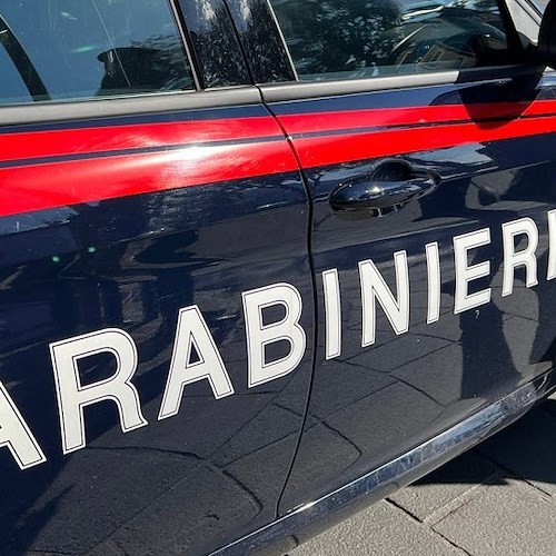 Carabinieri<br />&copy; Massimiliano D'Uva