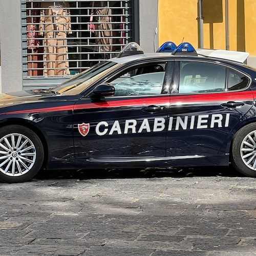 Carabinieri<br />&copy; Massimiliano D'Uva