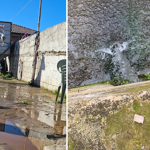 Ascea, severe sanzioni a maneggio e villaggio turistico